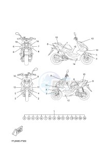 NS50N NITRO NAKED (1PL6 1PL6) drawing GRAPHIC & EMBLEM