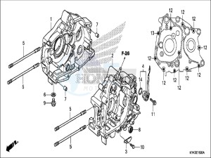 CRF110FH Europe Direct - (ED) drawing CRANKCASE