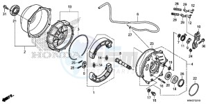 TRX500FM1H TRX500 ED drawing REAR BRAKE PANEL