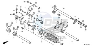 NC750DE Integra - NC750D Europe Direct - (ED) drawing GEARSHIFT DRUM