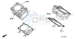 XL700VAB TRANSALP E drawing CYLINDER