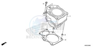 TRX420TE1F TRX420 Europe Direct - (ED) drawing CYLINDER