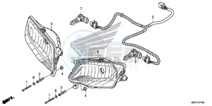 TRX420TE1H Europe Direct - (ED) drawing HEADLIGHT