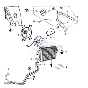 ELY 125DN EU drawing COOLING SYSTEM