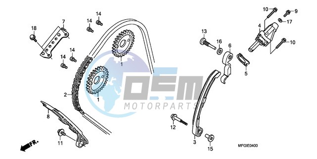 CAM CHAIN/TENSIONER