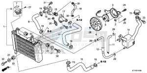 CBR125RTF CBR125RT UK - (E) drawing RADIATOR