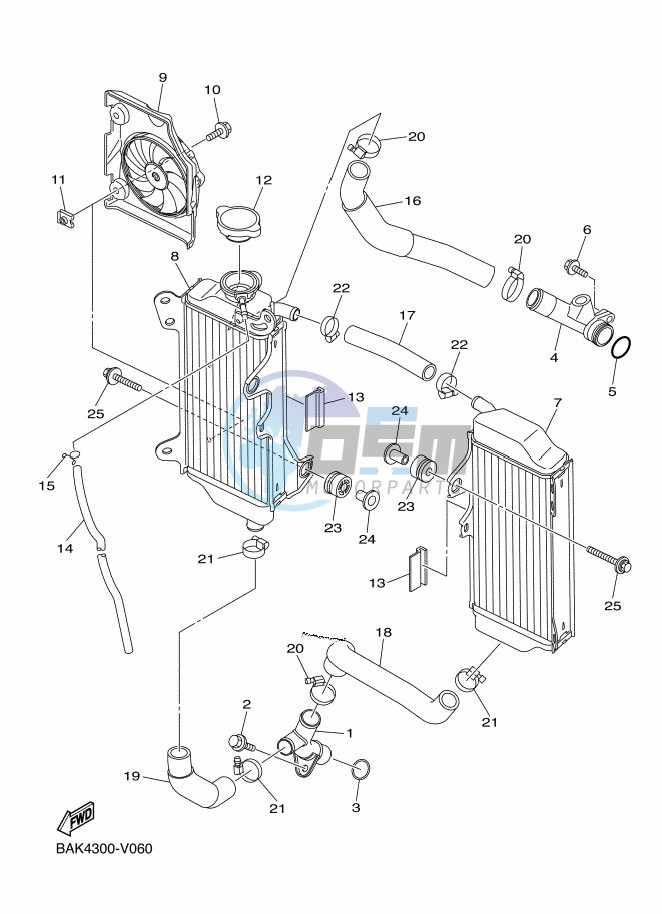 RADIATOR & HOSE