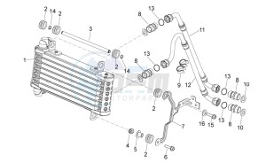 Dorsoduro 1200 (EMEA, APAC, NAFTA) (CND, EU, K, RU, USA, V) drawing Oil radiator