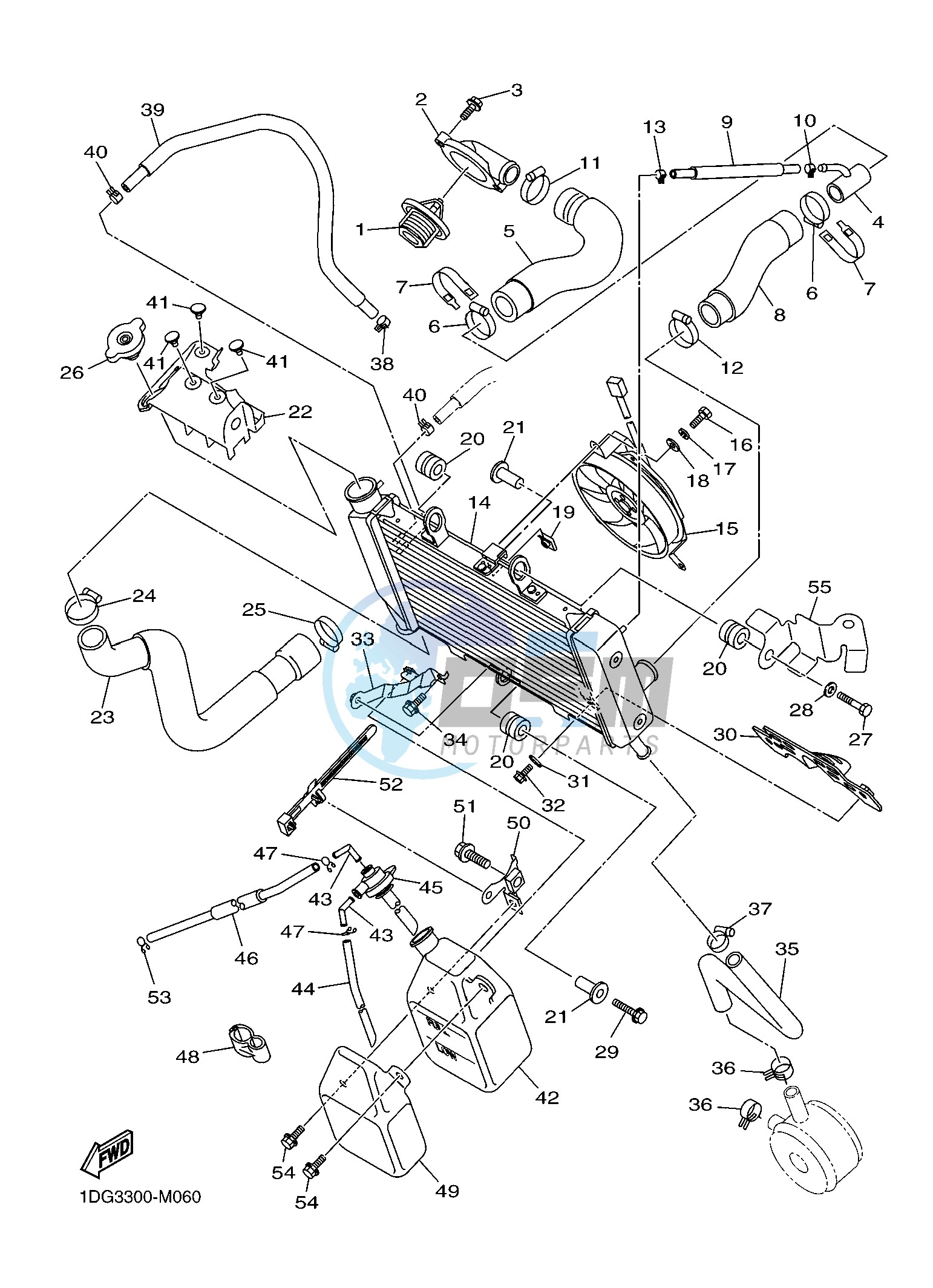 RADIATOR & HOSE