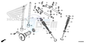 TRX500FM1F TRX500FM Europe Direct - (ED) drawing CAMSHAFT/VALVE