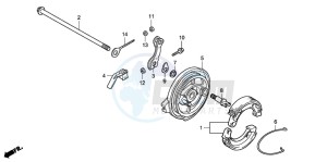 CRF50F drawing REAR BRAKE PANEL