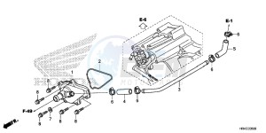 TRX500FE1H Europe Direct - (ED) drawing WATER PUMP COVER