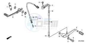 CBR1000RR9 France - (F / CMF REP) drawing PEDAL