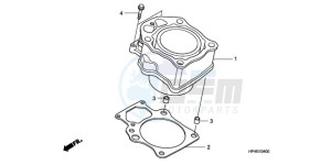 TRX420FEA Europe Direct - (ED / 2ED 4WD) drawing CYLINDER