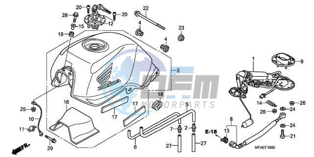 FUEL TANK/FUEL PUMP