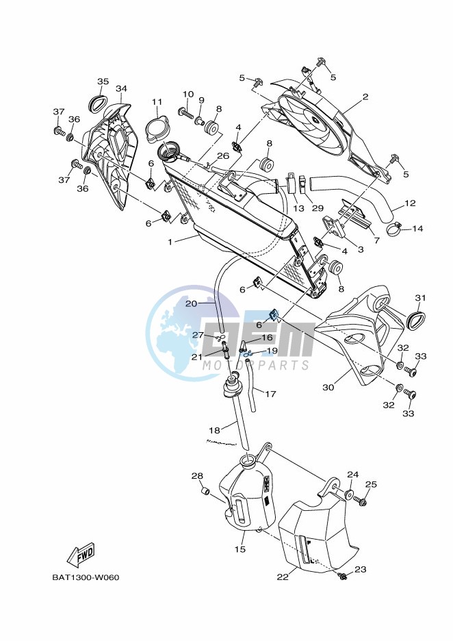 RADIATOR & HOSE