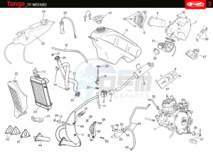 TANGO-50-MOTARD-WHITE drawing HOSE CONNEXIONS TANKS