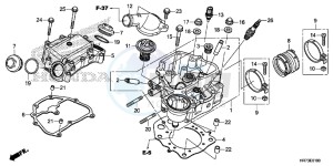 TRX420FA6G TRX420 Europe Direct - (ED) drawing CYLINDER HEAD