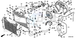 CB1000RAE CB1000R ABS E drawing RADIATOR