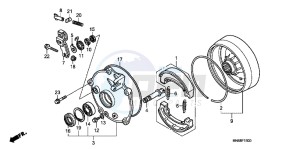 TRX250XC drawing REAR BRAKE DRUM