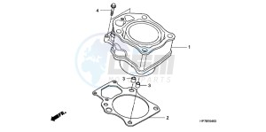 TRX420FPAC TRX420 ED drawing CYLINDER