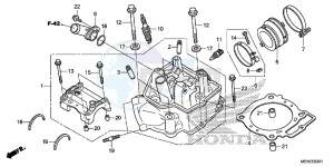 CRF450RF CRF450R Europe Direct - (ED) drawing CYLINDER HEAD (F/G)