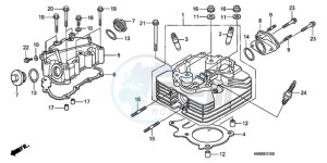 TRX250TMA U drawing CYLINDER HEAD