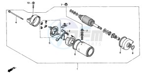 CB600F HORNET drawing STARTING MOTOR