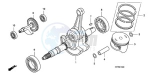 TRX420FA9 Australia - (U) drawing CRANK SHAFT/PISTON