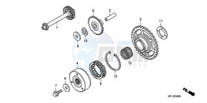 CBR1000RAA Europe Direct - (ED / ABS HRC) drawing STARTING CLUTCH