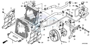 TRX420FPED TRX420 Europe Direct - (ED) drawing RADIATOR