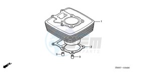 TRX250TM9 Australia - (U) drawing CYLINDER