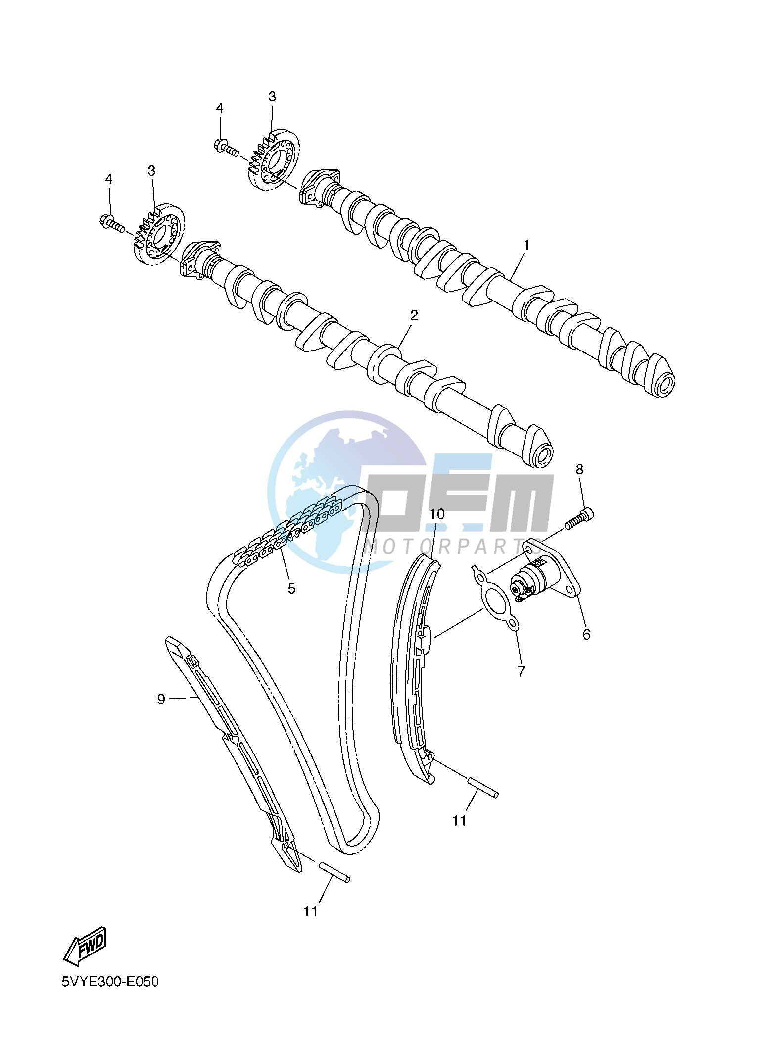 CAMSHAFT & CHAIN