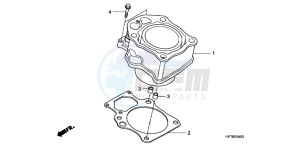 TRX420FAC drawing CYLINDER