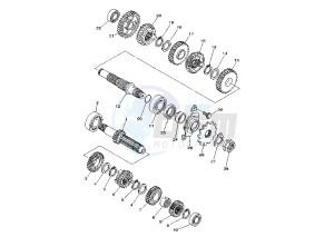 WR F 250 drawing TRANSMISSION