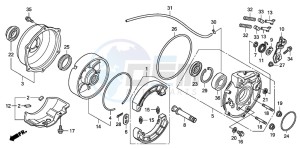 TRX420TE FOURTRAX ES drawing REAR BRAKE PANEL