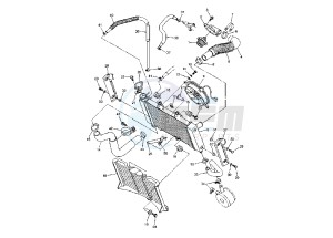 FZ6 NS 600 drawing RADIATOR- HOSE