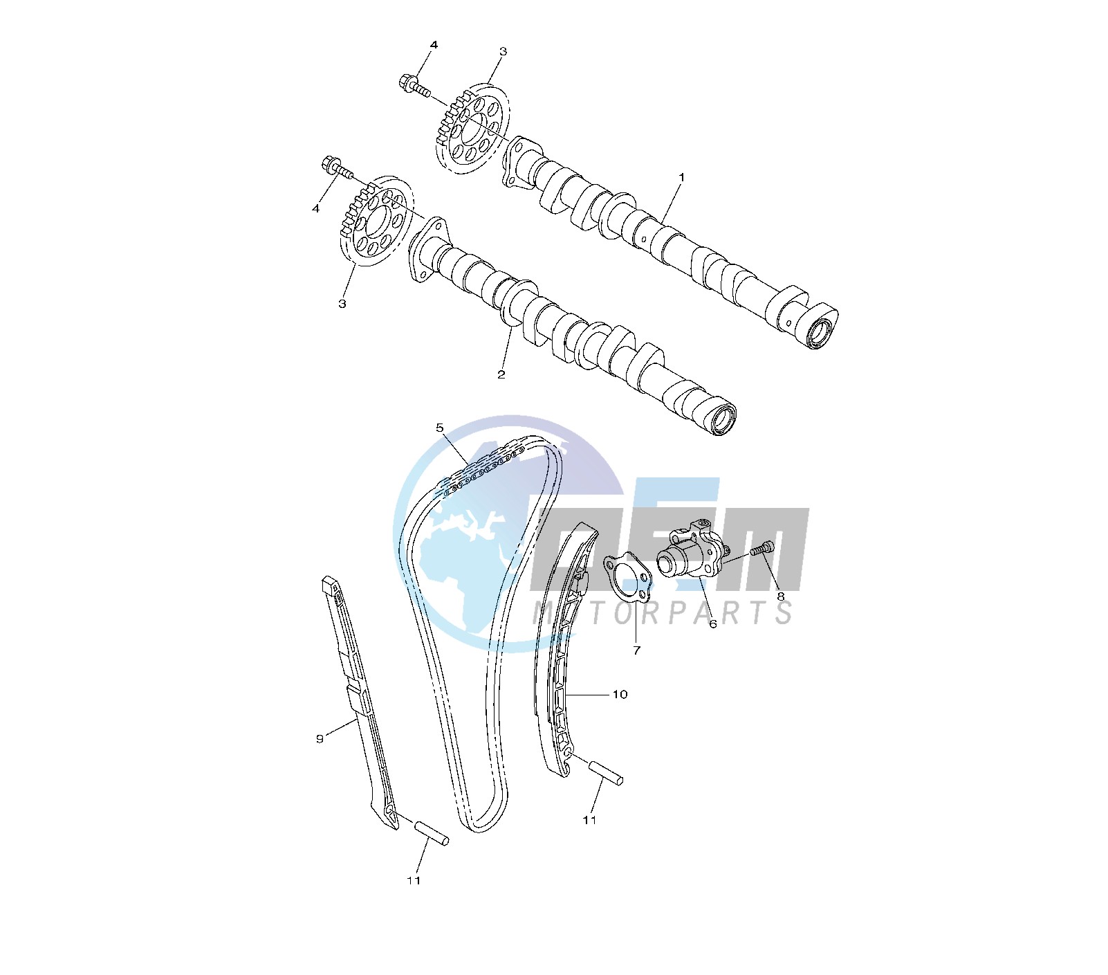 CAMSHAFT AND TIMING CHAIN