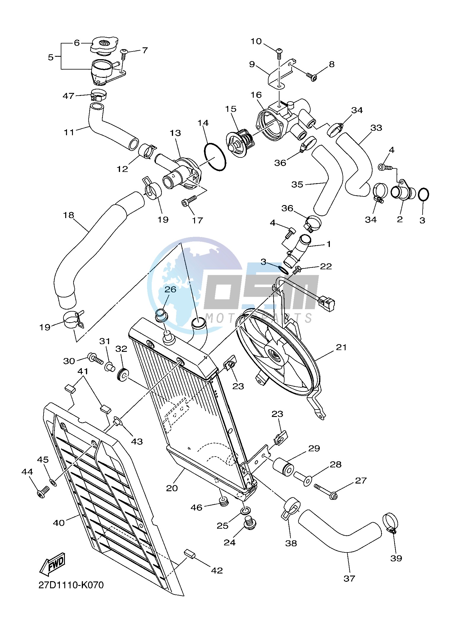 RADIATOR & HOSE