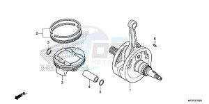 CRF450XE CRF450R Europe Direct - (ED) drawing CRANKSHAFT/PISTON