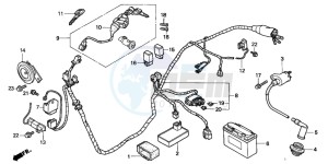 SFX50S drawing WIRE HARNESS/ IGNITION COIL/BATTERY