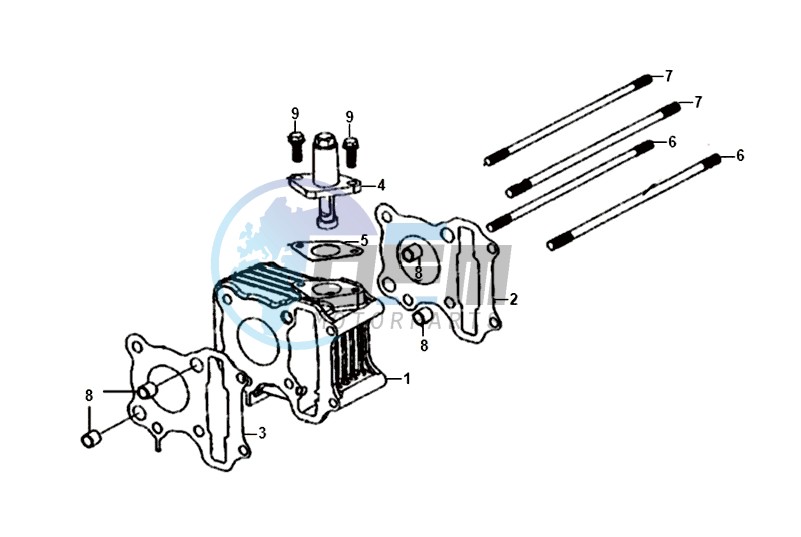 CYLINDER / TOP GASKET / LOWER GASKET