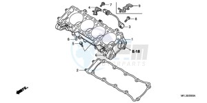 CBR1000RR9 Europe Direct - (ED / TRI) drawing CYLINDER