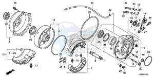 TRX420FPMD TRX420 Europe Direct - (ED) drawing REAR BRAKE PANEL