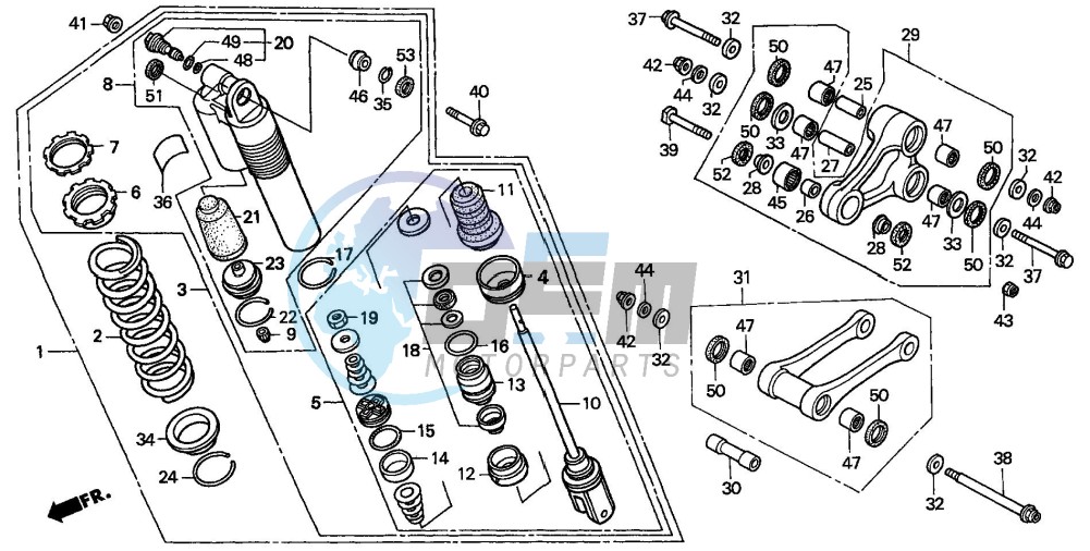 REAR CUSHION (2)