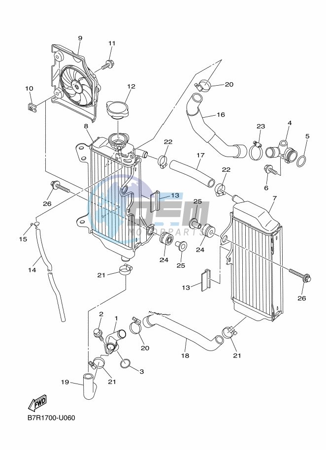 RADIATOR & HOSE