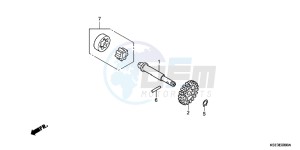 CRF150RC drawing OIL PUMP