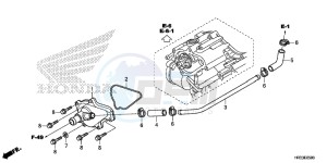 TRX420FM2E TRX420 Europe Direct - (ED) drawing WATER PUMP COVER