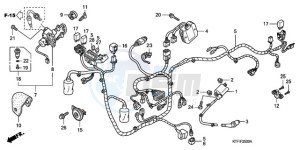 SH1259 France - (F / CMF) drawing WIRE HARNESS