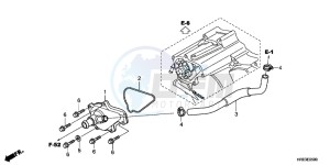 TRX500FED TRX500FE Europe Direct - (ED) drawing WATER PUMP COVER